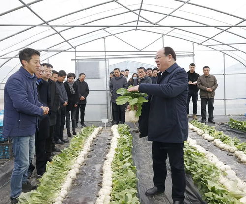 彭佳學調研 三農 工作鳳凰網寧波