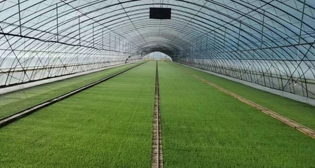 二次創業 “北大荒”扛起中國種業振興大旗