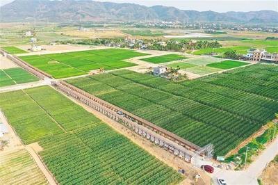 海墾南繁產業集團 深度參與南繁產業建設，打造種業新力量