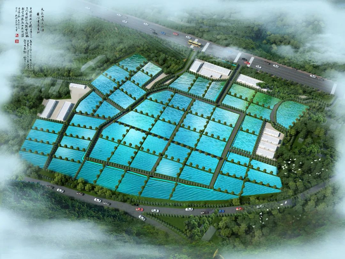 投資2.4億！水產(chǎn)巨頭落子九江，南海現(xiàn)代水產(chǎn)種業(yè)迎來強(qiáng)勁新引擎